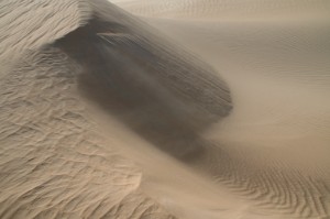 435.jpg