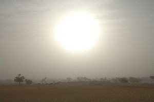 440.jpg