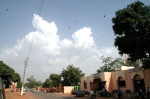 484.jpg