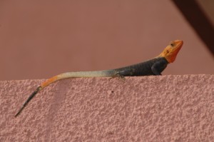 486.jpg