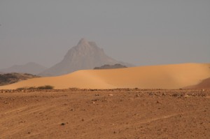 675.jpg