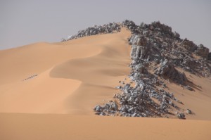678.jpg