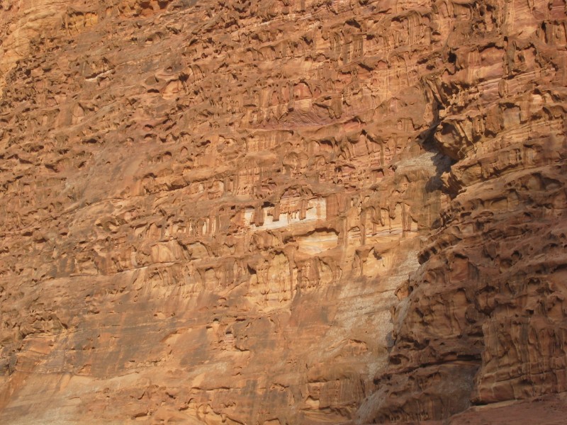 149.jpg