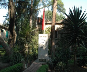 139.jpg