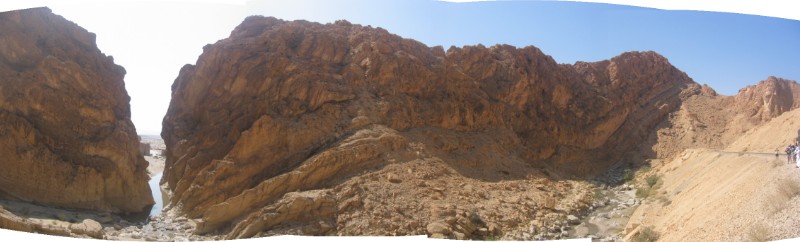 151.jpg