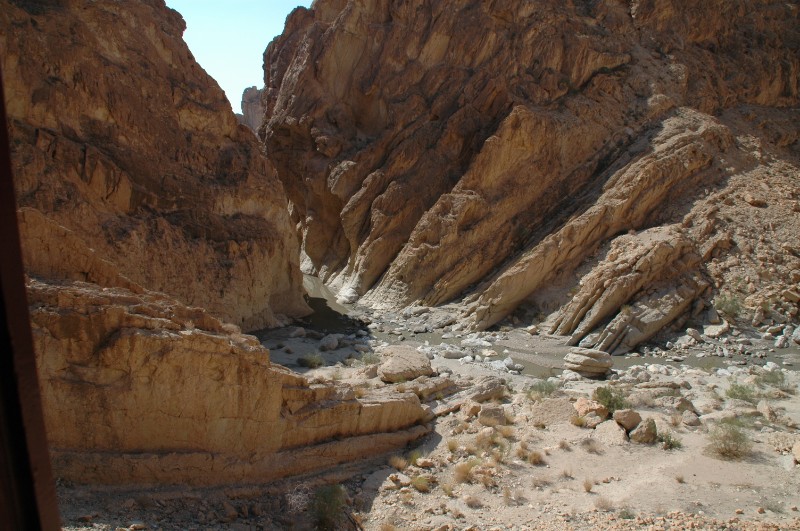 154.jpg