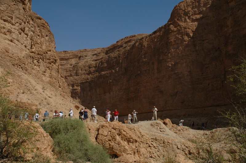 157.jpg