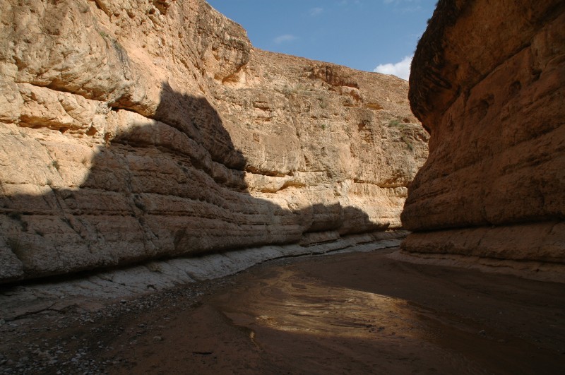 164.jpg