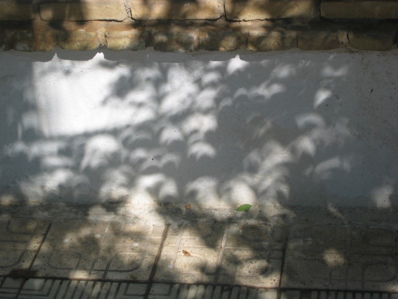 175.jpg