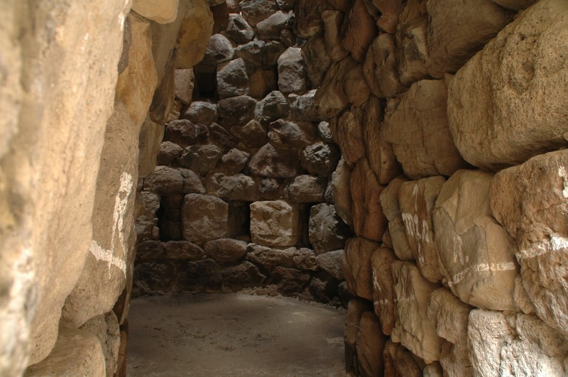 564.jpg