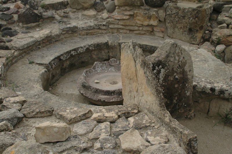 567.jpg