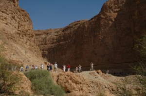 157.jpg