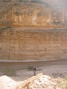 166.jpg