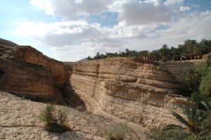 167.jpg