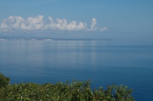 598.jpg